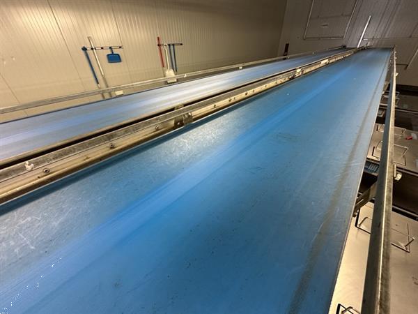 Grote foto martin stolze combi conveyor productie en inpaklijn met 11 marco werktafels met weegschaal agrarisch tuinbouw