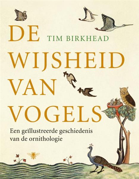 Grote foto de wijsheid van vogels boeken literatuur