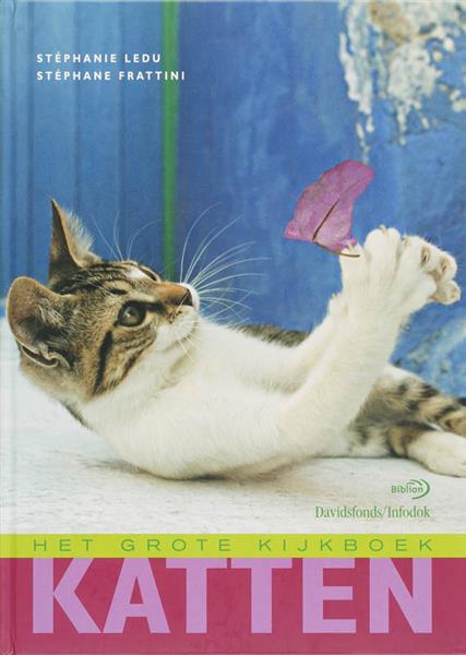Grote foto katten het grote kijkboek boeken overige boeken
