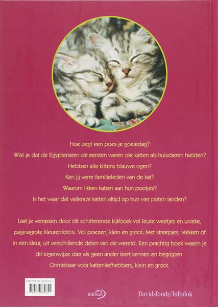 Grote foto katten het grote kijkboek boeken overige boeken