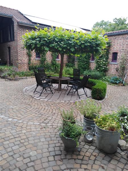 Grote foto hasselt gerenoveerde vierkantshoeve huizen en kamers bestaand benelux