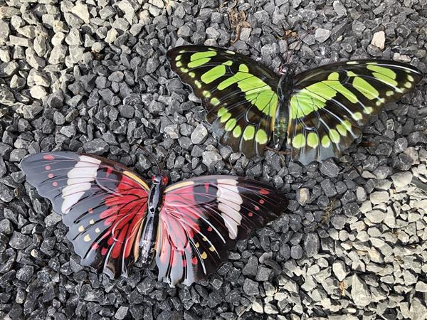 Grote foto prachtige set wandvlinders mooi in kleur en uit metaal. tuin en terras tuindecoratie