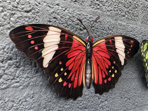 Grote foto prachtige set wandvlinders mooi in kleur en uit metaal. tuin en terras tuindecoratie