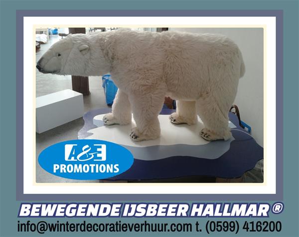 Grote foto ijs en ijsbeer bewegend 2m verhuur enschede hobby en vrije tijd feestartikelen verhuur