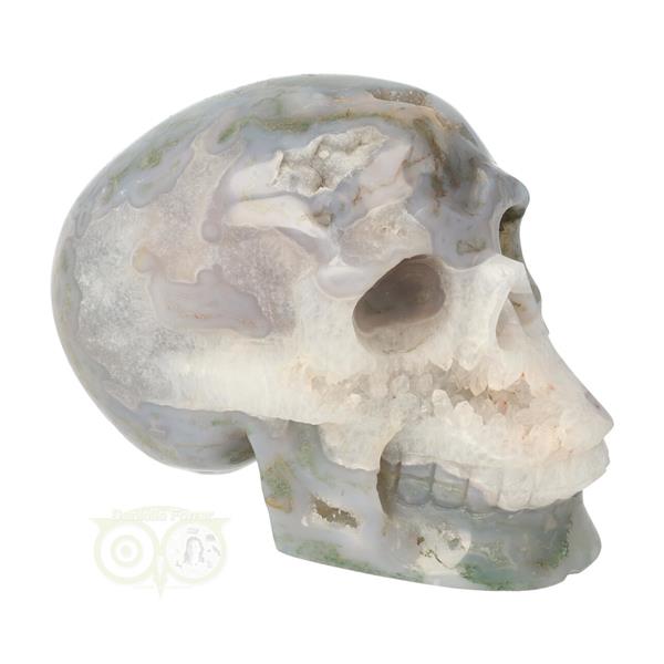 Grote foto mosagaat schedel 1047 gram verzamelen overige verzamelingen