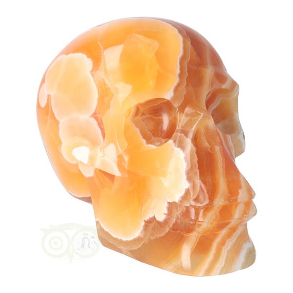 Grote foto oranje calciet schedel 2769 gram verzamelen overige verzamelingen