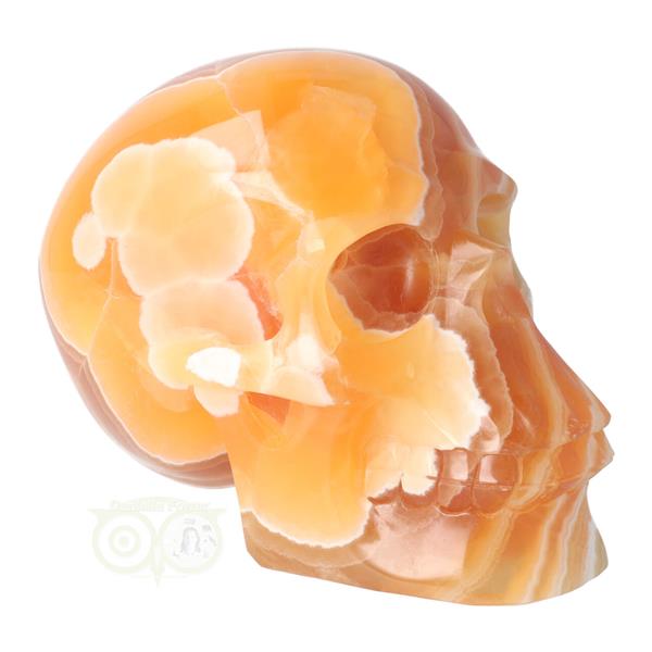 Grote foto oranje calciet schedel 2769 gram verzamelen overige verzamelingen