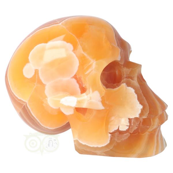 Grote foto oranje calciet schedel 2769 gram verzamelen overige verzamelingen
