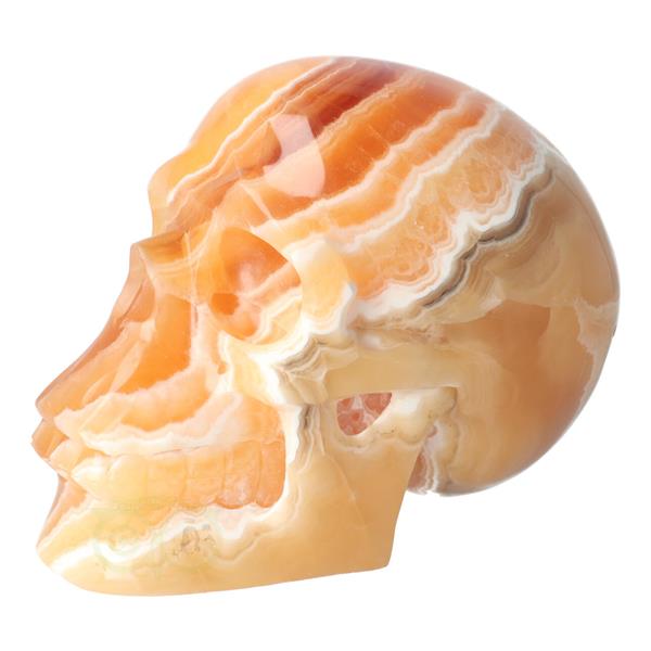 Grote foto oranje calciet schedel 2769 gram verzamelen overige verzamelingen