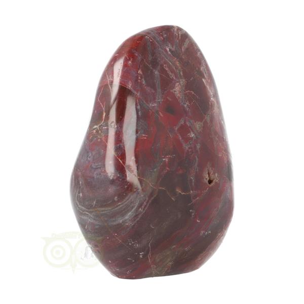 Grote foto versteend hout sculptuur nr 18 verzamelen overige verzamelingen