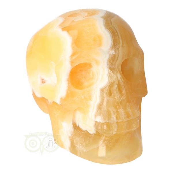 Grote foto oranje calciet schedel 438 gram verzamelen overige verzamelingen