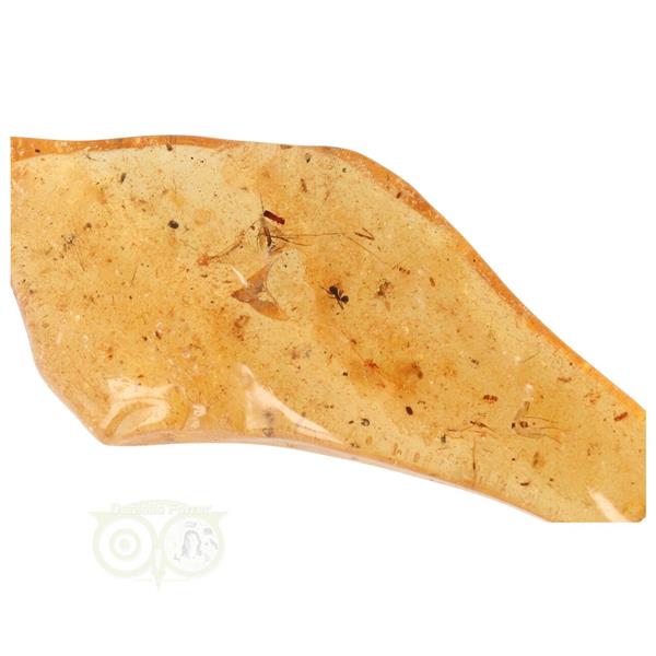Grote foto copal barnsteen madagascar nr 2 56 gram verzamelen overige verzamelingen