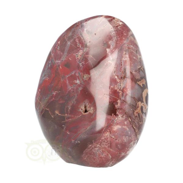 Grote foto versteend hout sculptuur nr 18 verzamelen overige verzamelingen