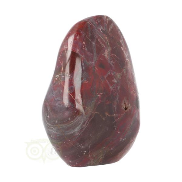 Grote foto versteend hout sculptuur nr 18 verzamelen overige verzamelingen