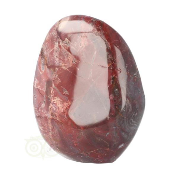 Grote foto versteend hout sculptuur nr 18 verzamelen overige verzamelingen