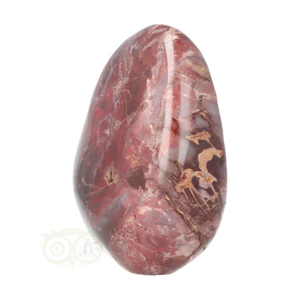 Grote foto versteend hout sculptuur nr 18 verzamelen overige verzamelingen