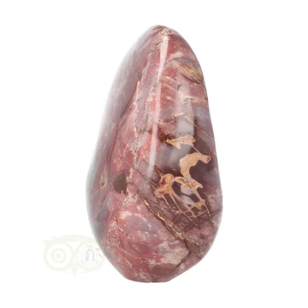 Grote foto versteend hout sculptuur nr 18 verzamelen overige verzamelingen