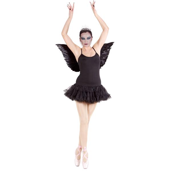 Grote foto prima ballerina zwart verzamelen overige verzamelingen