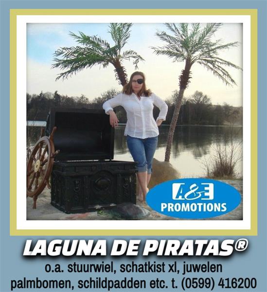 Grote foto zeerover party items verhuur palm decoratie etc. diversen overige diversen
