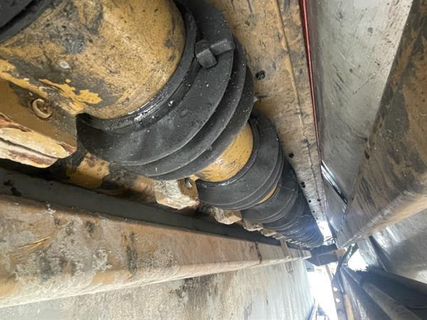 Grote foto breston voor witlof wortels en peen agrarisch tuinbouw