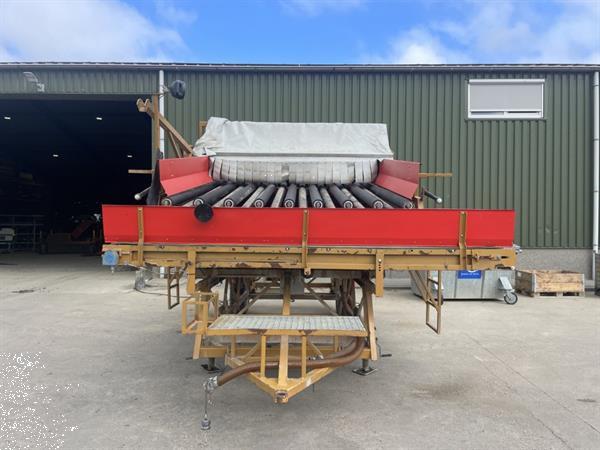 Grote foto breston voor witlof wortels en peen agrarisch tuinbouw