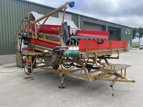 Grote foto breston voor witlof wortels en peen agrarisch tuinbouw