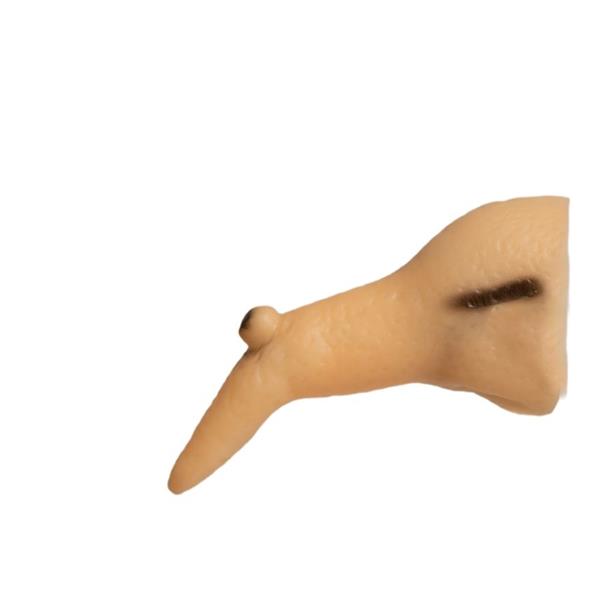 Grote foto heksenneus 10 cm verzamelen overige verzamelingen