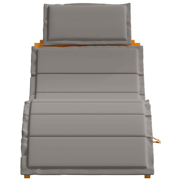 Grote foto vidaxl ligstoelen 2 st met kussens massief acaciahout donkergrijs tuin en terras tuinmeubelen