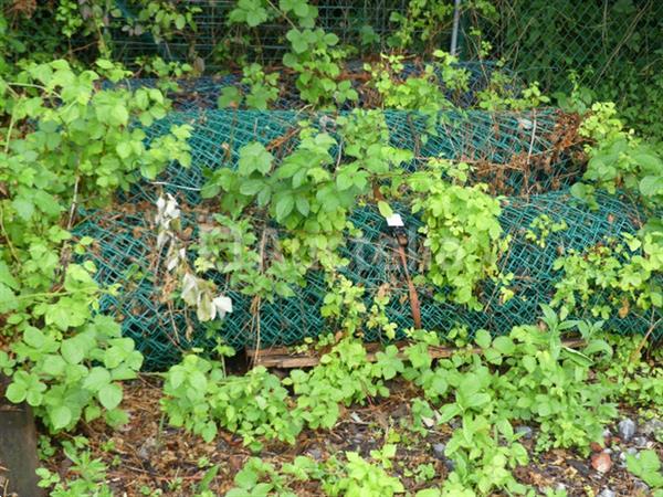 Grote foto 30 staken en 3 rol tuinhek doe het zelf en verbouw gereedschappen en machines