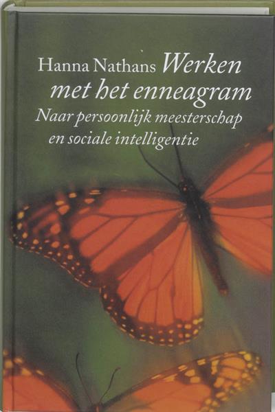 Grote foto werken met het enneagram boeken overige boeken