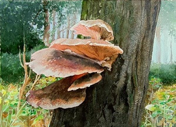 Grote foto kunsthandel gennep mushroom antiek en kunst modern