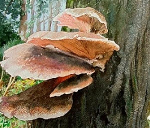 Grote foto kunsthandel gennep mushroom antiek en kunst modern