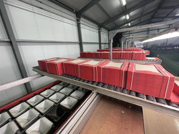 Grote foto aweta gm3 12 1 paprikasorteermachine agrarisch tuinbouw