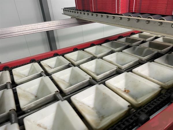 Grote foto aweta gm3 12 1 paprikasorteermachine agrarisch tuinbouw