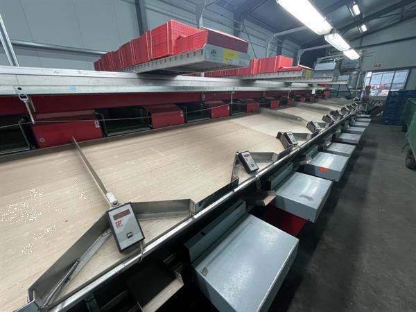 Grote foto aweta gm3 12 1 paprikasorteermachine agrarisch tuinbouw