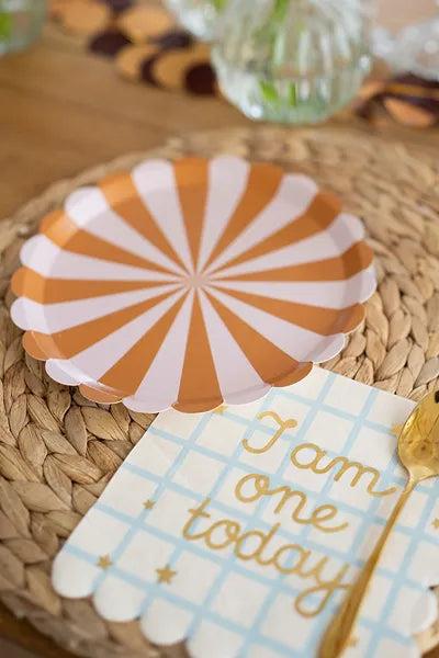 Grote foto plates stripes mix 21 cm verzamelen overige verzamelingen