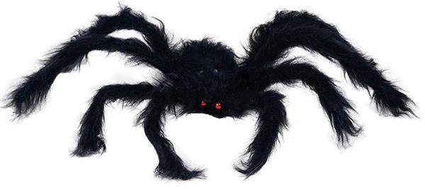 Grote foto black spider 150 cm verzamelen overige verzamelingen