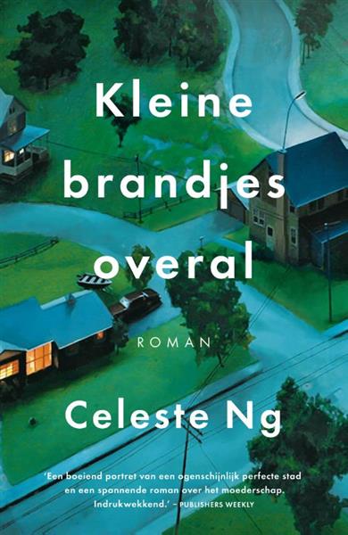 Grote foto kleine brandjes overal boeken overige boeken