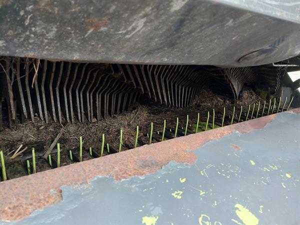 Grote foto claas quantum 4500 s opraapwagen met doseerwalsen agrarisch opraapwagens