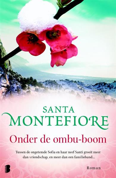 Grote foto onder de ombu boom wintereditie boeken overige boeken
