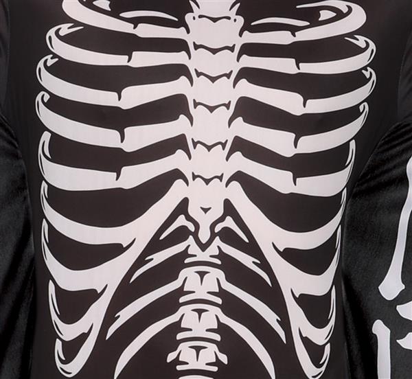 Grote foto bat skeleton adult verzamelen overige verzamelingen
