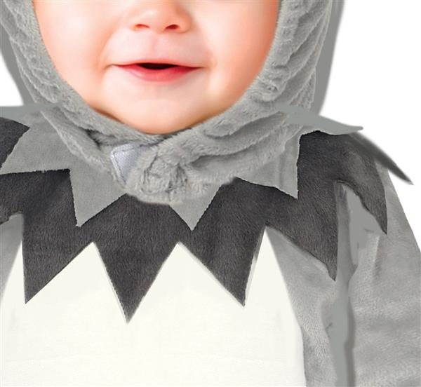 Grote foto lil wolf baby verzamelen overige verzamelingen