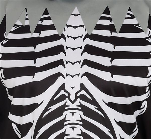 Grote foto skeleton mystic adult verzamelen overige verzamelingen