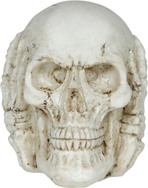 Grote foto skull resin 6 cm verzamelen overige verzamelingen