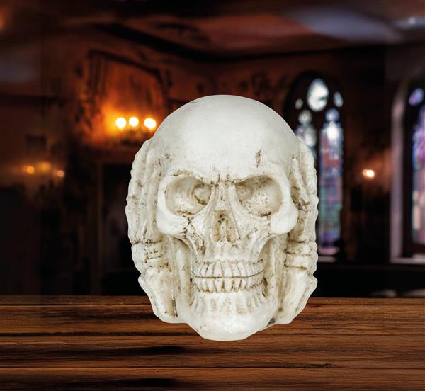 Grote foto skull resin 6 cm verzamelen overige verzamelingen