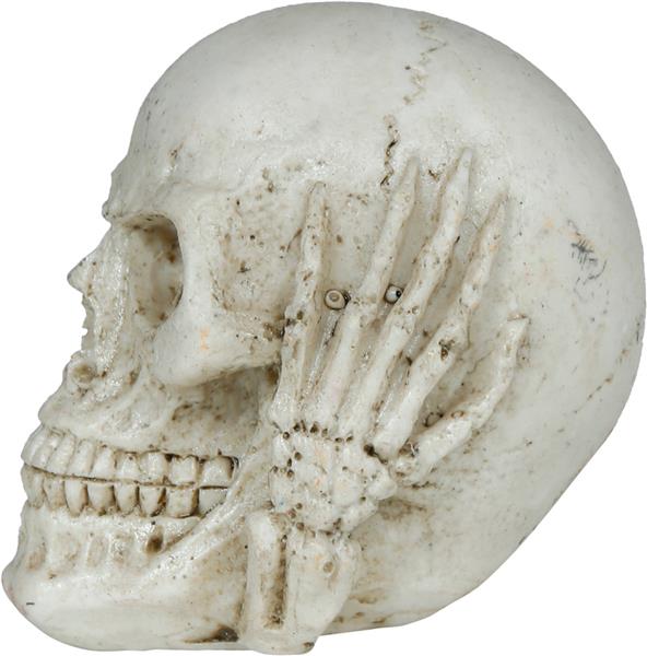 Grote foto skull resin 6 cm verzamelen overige verzamelingen