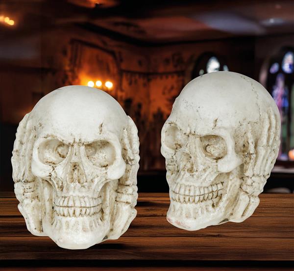 Grote foto skull resin 6 cm verzamelen overige verzamelingen