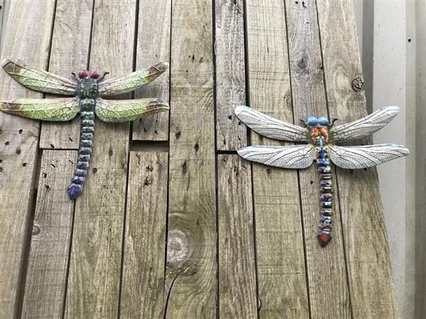 Grote foto set libelles metalen wandornamenten heel erg mooi tuin en terras tuindecoratie