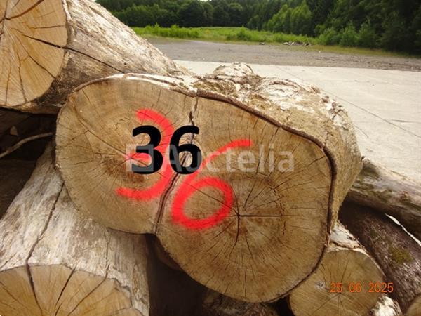 Grote foto 1 set van 20 boomstammen 2m20 lang diam. 40cm de 4 stuks op de machine doe het zelf en verbouw ijzerwaren en bevestigingsmiddelen