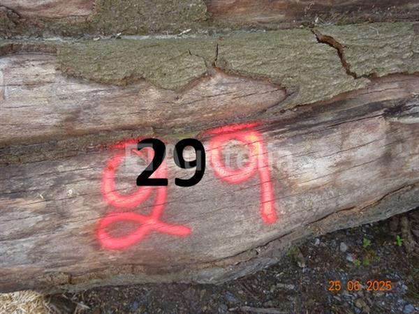 Grote foto 1 voorraad hout voor brandhout gelegen op de binnenplaats over een lengte van 50m inclusief een doe het zelf en verbouw ijzerwaren en bevestigingsmiddelen